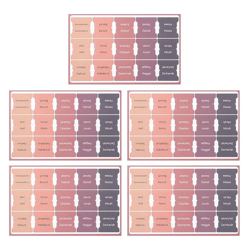 Easy Read Bible Tabs