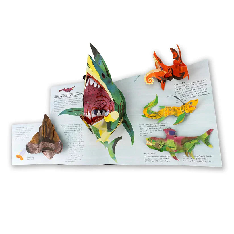 3D Dinosaur Pop-Up Adventure
