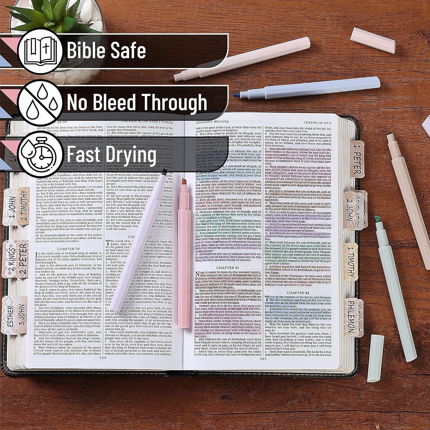 Soft Pastel Bible Highlighters