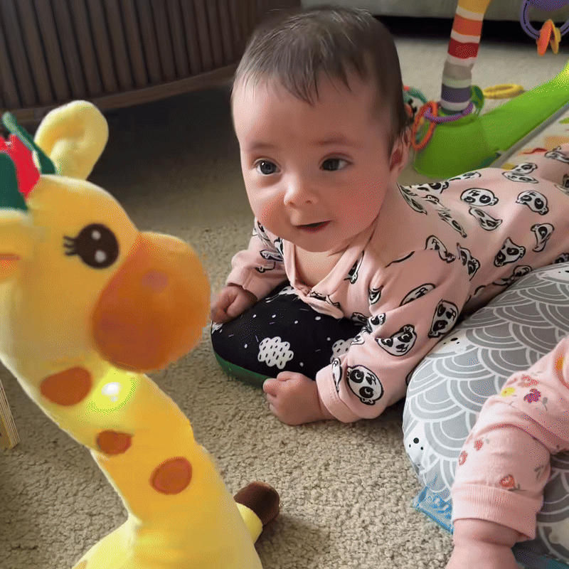 Joyful Dancing Giraffe Toy